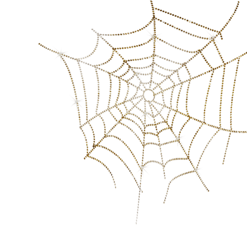 Spinnennetz - darmowe png
