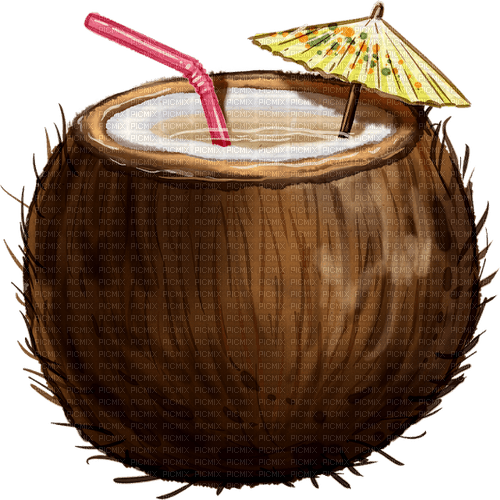 kikkapink deco summer coconut drink - 免费PNG