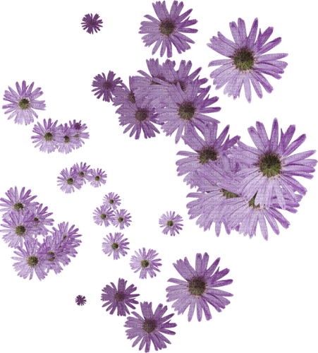 Spring.Flowers.Purple.Fleurs.Victoriabea - PNG gratuit