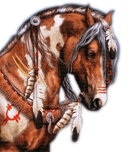 Rena Indianer Pferd Horse Native - PNG gratuit
