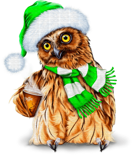 christmas owl by nataliplus - nemokama png