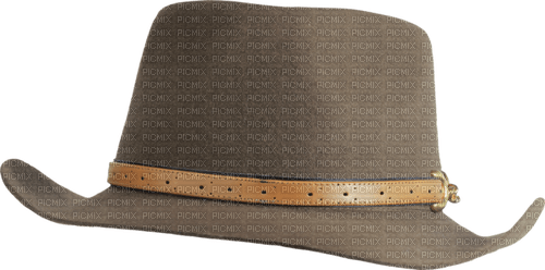 Cowboy hat - ingyenes png