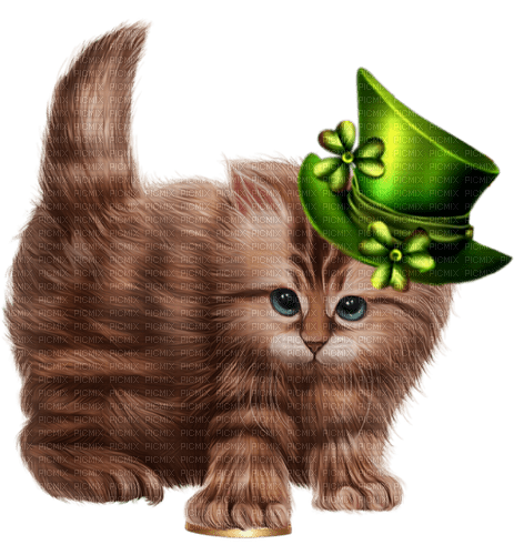 st. Patrick  cat  by nataliplus - ilmainen png