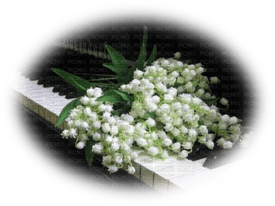 patymirabelle fleurs muguet - png ฟรี