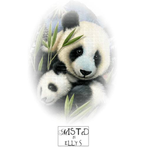 Pandas - 無料png