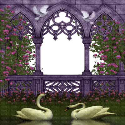 swan schwäne cygnes pond teich bird oiseau spring printemps deco tube animal fond background terrace purple window - darmowe png