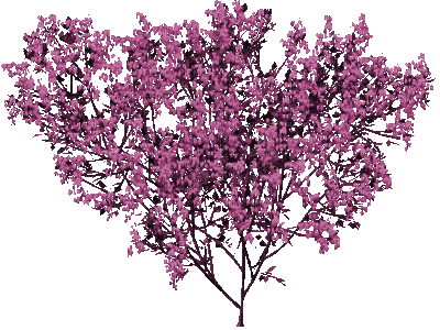 Kaz_Creations Deco Flowers Colours Bush - Безплатен анимиран GIF
