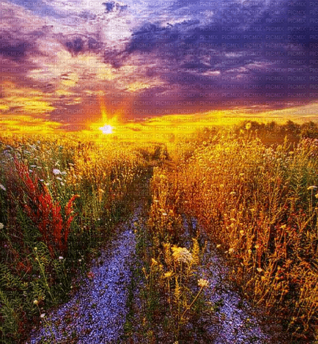 Rena Landschaft Hintergrund Sun - png gratis