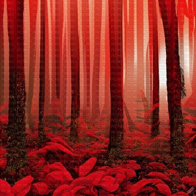 Red Forest Background - besplatni png