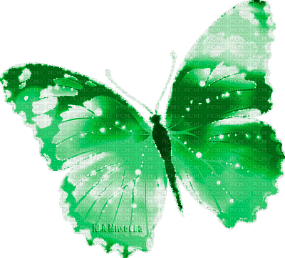 Y.A.M._Fantasy Butterfly green - Free animated GIF