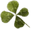 clover детелинка 2 - PNG gratuit
