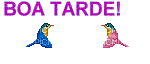 BOA TARDE BIRDS - Ilmainen animoitu GIF