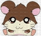 hamster - Free PNG