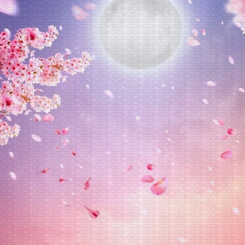 Y.A.M._Japan Spring landscape background - gratis png