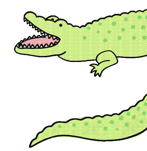 Alligator Nola - Darmowy animowany GIF