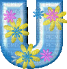 U floral - Бесплатный анимированный гифка