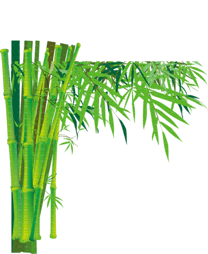 loly33 bambou - PNG gratuit