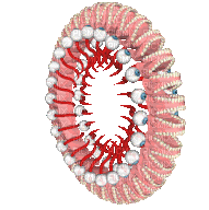 wheel of teeth and eyeballs - Bezmaksas animēts GIF