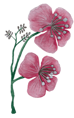 fleur ro - PNG gratuit