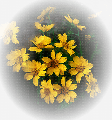 blommor gula---flowers yellow - 免费PNG