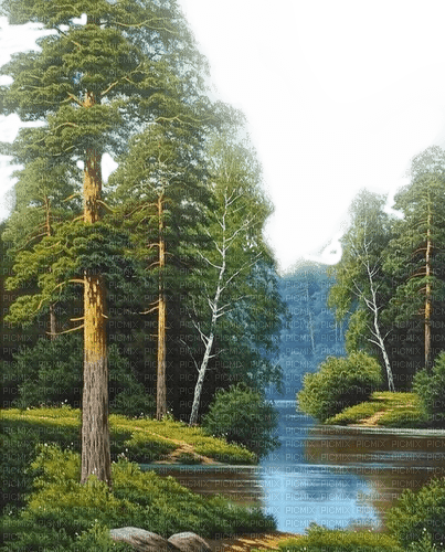 Landschaft, Wald, See, Landscape - zdarma png