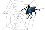 spider web bp - GIF animasi gratis