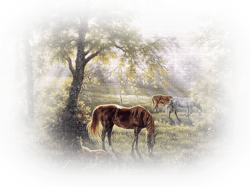 spring horse vintage background - 免费PNG
