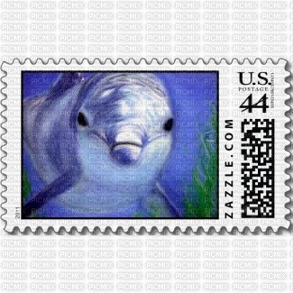 dauphins timbre - gratis png