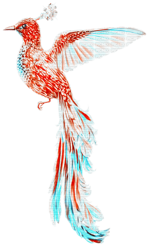 Fantasy.Bird.Turquoise.Red - ücretsiz png