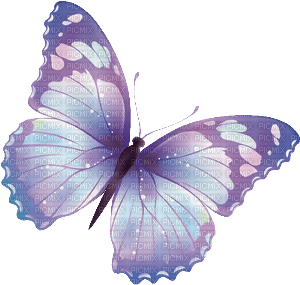 Schmetterling - PNG gratuit
