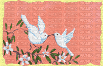 white doves - Besplatni animirani GIF