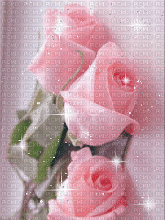 roses d amour - GIF animate gratis
