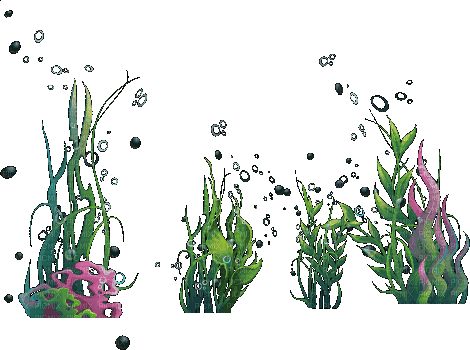 Растения - GIF animasi gratis