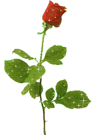 Red Rose.Fleur.Flower.Victoriabea - GIF animé gratuit