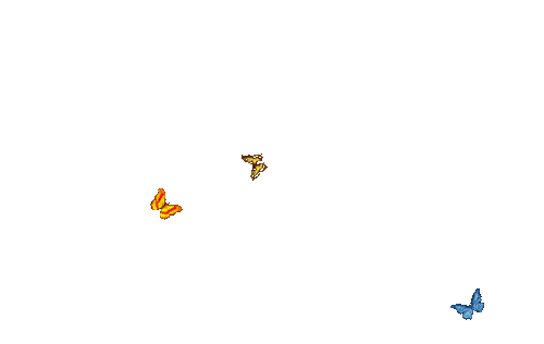 mariposas gif dubravka4 - GIF animado grátis