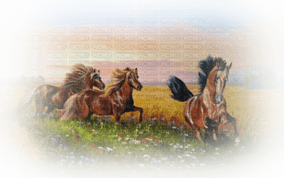 Kaz_Creations Paysage Scenery Horses Horse - bezmaksas png