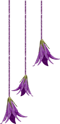 violeta - фрее пнг