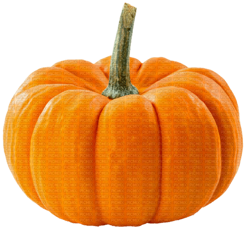 Pumpkin.Orange - PNG gratuit