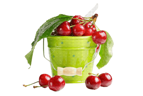 cherry,tree,vase - gratis png