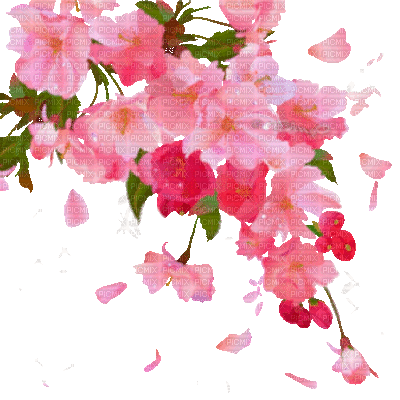 Y.A.M._Summer Flowers Decor - GIF animé gratuit