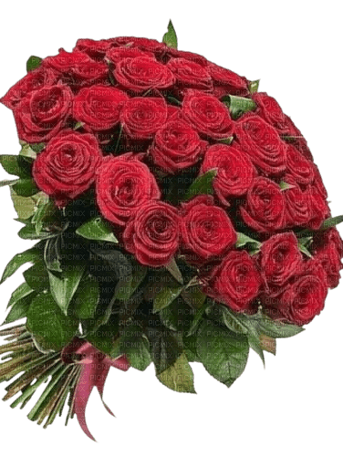 roses bouquet - 免费PNG
