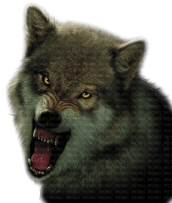 wolf bp - 無料png