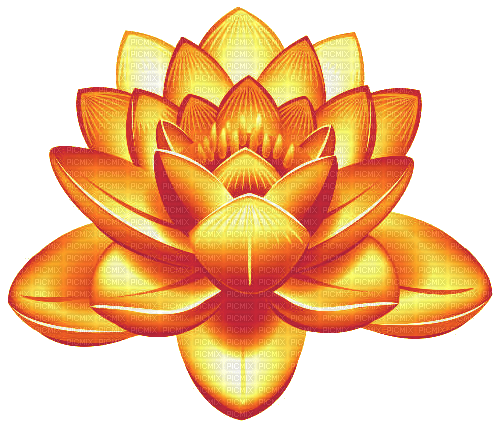 nbl-gold lotus - δωρεάν png