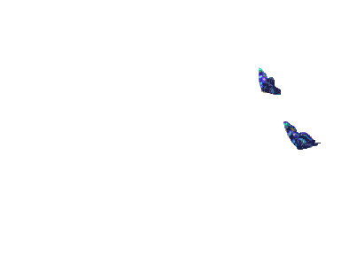 butterflies katrin - Бесплатный анимированный гифка