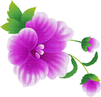 All my lovely flowers - darmowe png