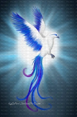 blanc et bleu phenix dragon - Free PNG