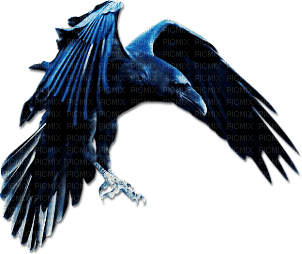 soave deco bird gothic halloween blue - δωρεάν png