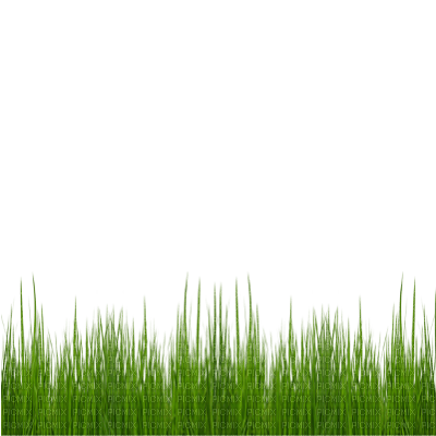 green grass - Free PNG