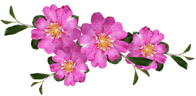 kukka flower fleur - gratis png