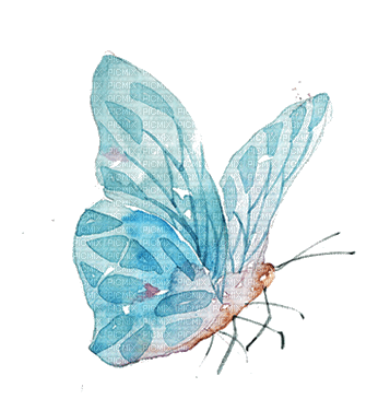 Papillon.Aquarelle.Butterfly.Blue.Victoriabea - ücretsiz png